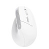 Trust mouse vertical ergonomico inalambrico Bayo color blanco recargable - 25398
