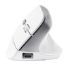 Trust mouse vertical ergonomico inalambrico Bayo color blanco recargable - 25398