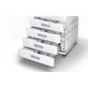 Epson bandeja doble opcional para AM-C400/550 - C12C937461