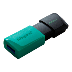 Kingston memoria exodia menta con negro 256GB usb 3.2 DTXM