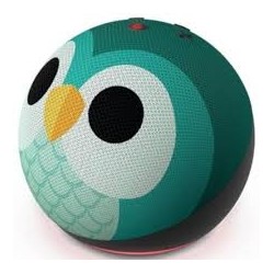 Amazon Echo Dot 5 Kids Edition Owl B09B9CD1YB