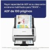Epson escaner de escritorio DS-530X A4 - B11B286201