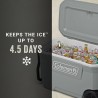 COLEMAN HIELE 62QT 5859 GRAY 3000006487