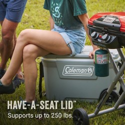 COLEMAN HIELE 62QT 5859 GRAY 3000006487